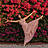 Elegant ballet pose in pink dress before bougainvillea – Dance and aesthetics